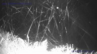 Archived image Webcam St. Gallenkirch, Vorarlberg 01:00