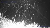 Archived image Webcam St. Gallenkirch, Vorarlberg 03:00