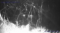 Archiv Foto Webcam Sankt Gallenkirch, Vorarlberg 23:00