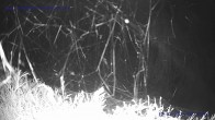 Archiv Foto Webcam Sankt Gallenkirch, Vorarlberg 01:00