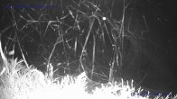 Archiv Foto Webcam Sankt Gallenkirch, Vorarlberg 03:00