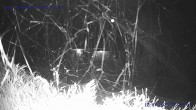 Archiv Foto Webcam Sankt Gallenkirch, Vorarlberg 21:00