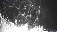 Archiv Foto Webcam Sankt Gallenkirch, Vorarlberg 23:00