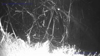 Archiv Foto Webcam Sankt Gallenkirch, Vorarlberg 01:00