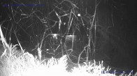 Archiv Foto Webcam Sankt Gallenkirch, Vorarlberg 23:00