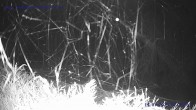 Archiv Foto Webcam Sankt Gallenkirch, Vorarlberg 01:00