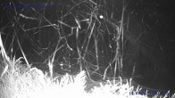 Archiv Foto Webcam Sankt Gallenkirch, Vorarlberg 03:00