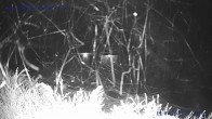 Archived image Webcam St. Gallenkirch, Vorarlberg 21:00