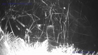 Archiv Foto Webcam Sankt Gallenkirch, Vorarlberg 23:00
