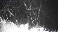 Archiv Foto Webcam Sankt Gallenkirch, Vorarlberg 01:00