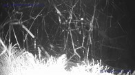 Archiv Foto Webcam Sankt Gallenkirch, Vorarlberg 03:00