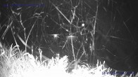 Archiv Foto Webcam Sankt Gallenkirch, Vorarlberg 23:00