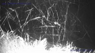 Archiv Foto Webcam Sankt Gallenkirch, Vorarlberg 01:00