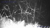 Archiv Foto Webcam Sankt Gallenkirch, Vorarlberg 03:00