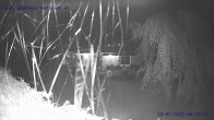 Archiv Foto Webcam Sankt Gallenkirch, Vorarlberg 23:00