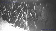 Archiv Foto Webcam Sankt Gallenkirch, Vorarlberg 01:00