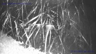 Archiv Foto Webcam Sankt Gallenkirch, Vorarlberg 23:00