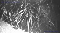 Archiv Foto Webcam Sankt Gallenkirch, Vorarlberg 01:00