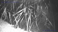 Archiv Foto Webcam Sankt Gallenkirch, Vorarlberg 03:00