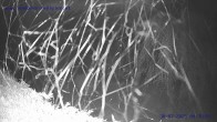 Archiv Foto Webcam Sankt Gallenkirch, Vorarlberg 03:00