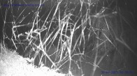 Archiv Foto Webcam Sankt Gallenkirch, Vorarlberg 01:00