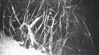 Archiv Foto Webcam Sankt Gallenkirch, Vorarlberg 01:00