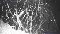 Archiv Foto Webcam Sankt Gallenkirch, Vorarlberg 03:00
