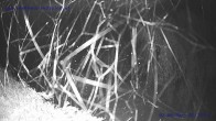 Archiv Foto Webcam Sankt Gallenkirch, Vorarlberg 01:00
