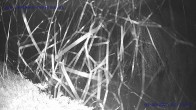 Archiv Foto Webcam Sankt Gallenkirch, Vorarlberg 01:00