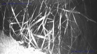 Archiv Foto Webcam Sankt Gallenkirch, Vorarlberg 03:00