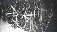 Archiv Foto Webcam Sankt Gallenkirch, Vorarlberg 01:00