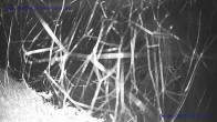 Archiv Foto Webcam Sankt Gallenkirch, Vorarlberg 03:00