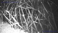 Archiv Foto Webcam Sankt Gallenkirch, Vorarlberg 23:00
