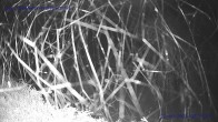 Archiv Foto Webcam Sankt Gallenkirch, Vorarlberg 01:00