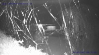 Archiv Foto Webcam Sankt Gallenkirch, Vorarlberg 23:00