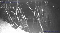 Archiv Foto Webcam Sankt Gallenkirch, Vorarlberg 01:00