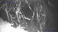 Archiv Foto Webcam Sankt Gallenkirch, Vorarlberg 03:00