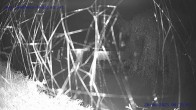 Archiv Foto Webcam Sankt Gallenkirch, Vorarlberg 23:00