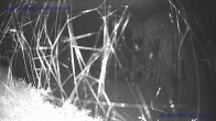 Archiv Foto Webcam Sankt Gallenkirch, Vorarlberg 01:00