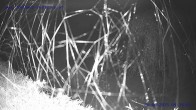 Archiv Foto Webcam Sankt Gallenkirch, Vorarlberg 03:00