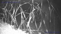 Archiv Foto Webcam Sankt Gallenkirch, Vorarlberg 03:00