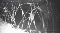 Archiv Foto Webcam Sankt Gallenkirch, Vorarlberg 03:00