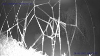 Archiv Foto Webcam Sankt Gallenkirch, Vorarlberg 01:00