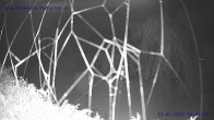 Archived image Webcam St. Gallenkirch, Vorarlberg 01:00