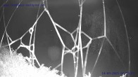 Archiv Foto Webcam Sankt Gallenkirch, Vorarlberg 01:00