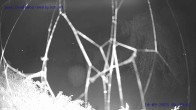 Archiv Foto Webcam Sankt Gallenkirch, Vorarlberg 05:00