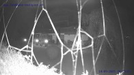 Archiv Foto Webcam Sankt Gallenkirch, Vorarlberg 19:00