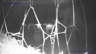 Archiv Foto Webcam Sankt Gallenkirch, Vorarlberg 23:00