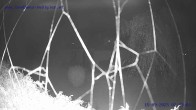 Archiv Foto Webcam Sankt Gallenkirch, Vorarlberg 01:00