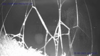 Archiv Foto Webcam Sankt Gallenkirch, Vorarlberg 03:00
